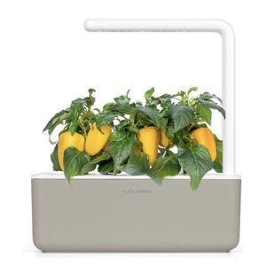 Smart Garden Click & Grow 3 Self Watering Indoor Garden